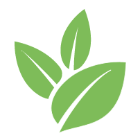 Strive Palm Tree Removal