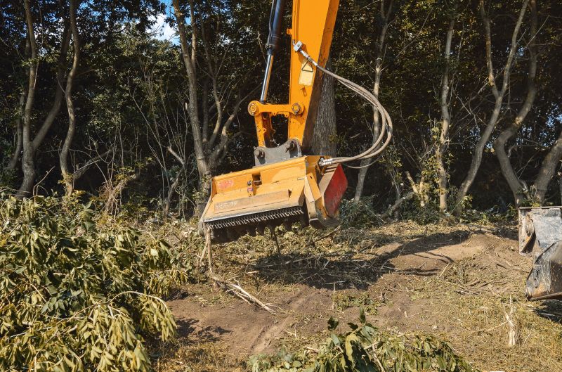 Brush Clearing Service in Gwinnett County, GA