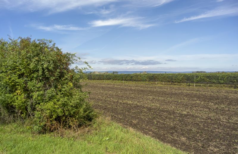 Acreage Clearing in Marietta, GA