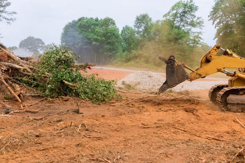Building Site Clearing in Gwinnett County, GA