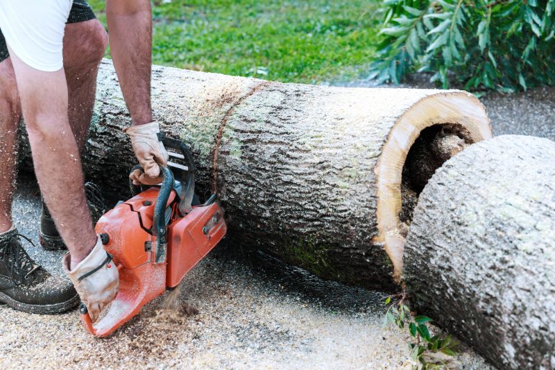 Commercial Tree Removal in Duluth, MN