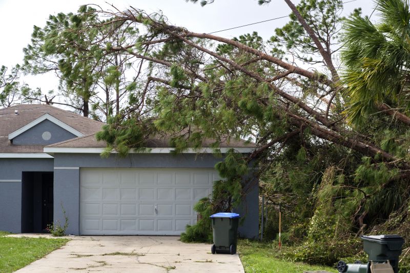 Fallen Tree Removal in Montgomery County, PA