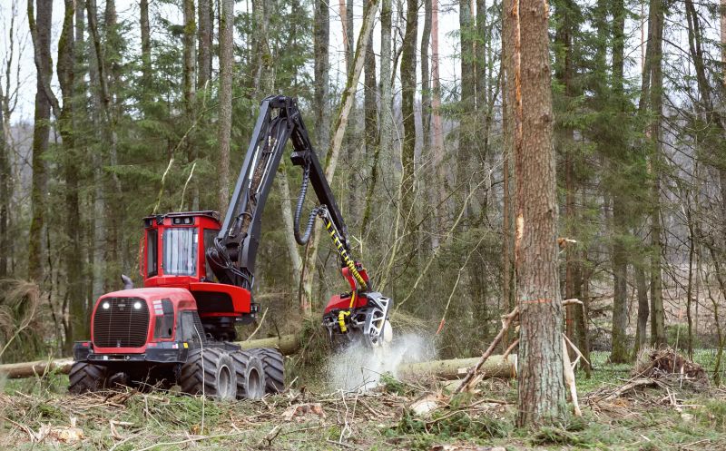 Forestry Clearing in Gwinnett County, GA
