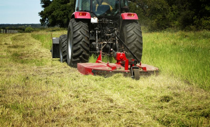 Pasture Clearing in Gwinnett County, GA