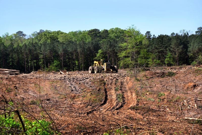 Pool Land Clearing in Houston, TX