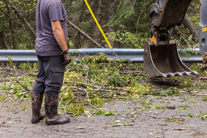 Site Cleaning in Cumming, GA