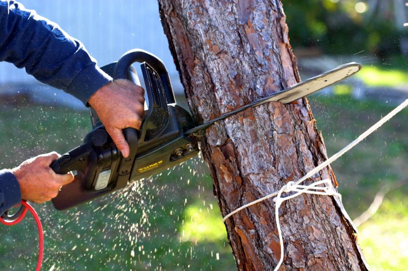 Tree Removal Service in Duluth, MN