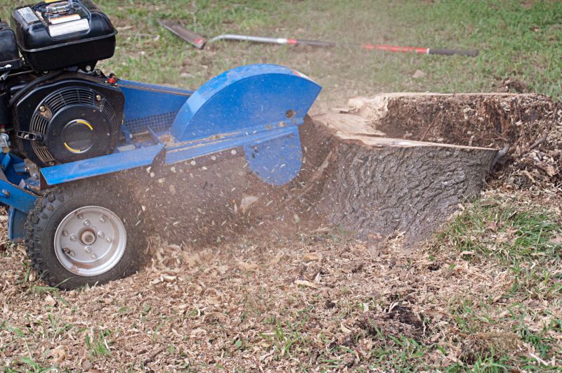 Stump Grinding Specialists